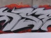 rasek