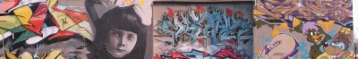 z-canyourock11-sneaks-stitch2