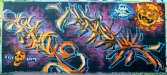 p1070419
