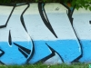 P1110106